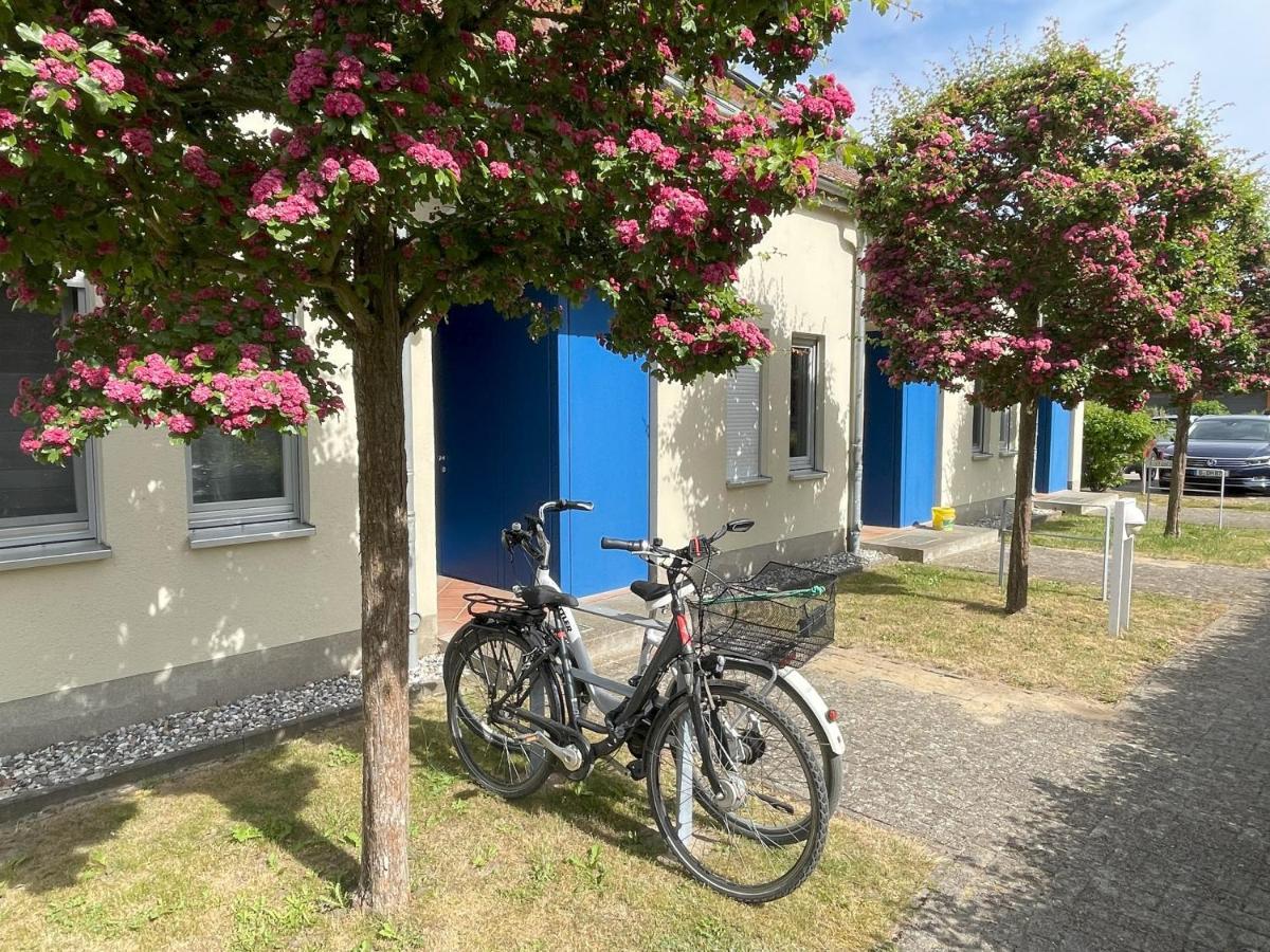 Ferienwohnung Seeterrassen Dewichow Bagian luar foto